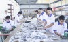 CĐCS Công ty CP thương mại và Xuất nhập khẩu Việt Hồng Chinh: Đặt lợi ích người lao động lên hàng đầu