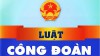 Tổng LĐLĐ Việt Nam: Lấy ý kiến về Tờ trình dự án Luật Công đoàn (sửa đổi)