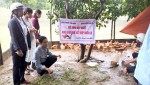 Trình diễn mô hình nuôi giun quế kết hợp nuôi gà tại Cam Lộ
