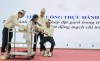 Công ty TNHH Dệt may VTJ Toms đoạt giải Nhất tại Hội thi an toàn, vệ sinh lao động ngành dệt may Quảng Trị năm 2024