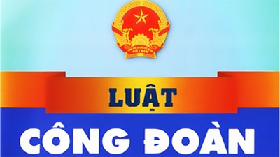 luat cong doan